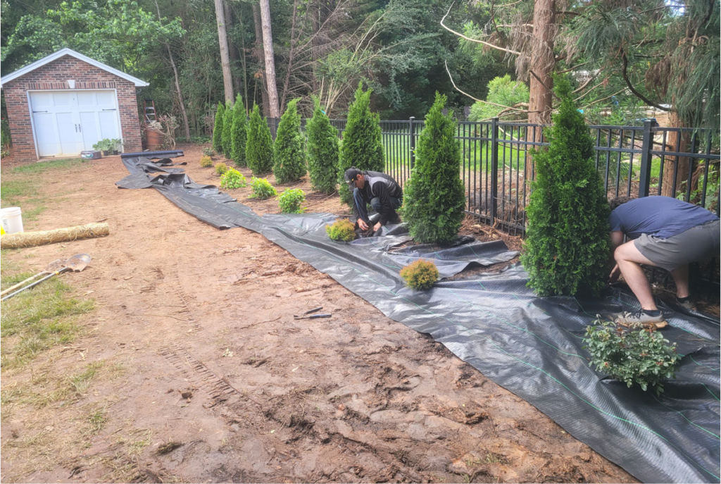 landscape installation